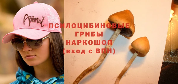 метадон Богородицк