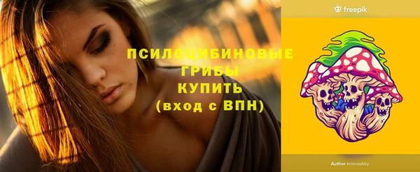 метадон Богородицк